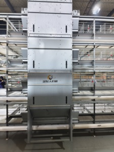 Cage à canards galvanisée à chaud avec <span class=keywords><strong>nid</strong></span> à œufs anti-salissures pour élevage commercial de canards - Product Image 3