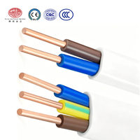 Câble plat en cuivre massif isolé et gainé PVC BVVB 10 AWG IP68 300V/500V, support OEM, directement de l'usine SZYL