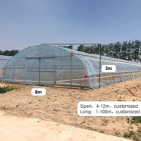Agriculture/Ferme/Multi-Span/Single-Span/Tunnel Film plastique Maison verte/Serre pour légumes/fleurs/tomates/jardin