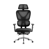 Chaise de bureau ergonomique pivotante avec accoudoirs en maille 2D, design moderne, avec repose-pieds et appuie-tête réglable