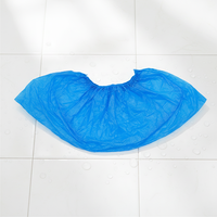 SC106 Couvre-chaussures jetables anti-poussière en CPE bleu L40cm*W15cm de l'usine du Fujian, vente en gros SkyPro
