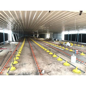 Low Price and High Quality to Get <strong>Automatic</strong> Breeding Equipment Broiler Flooting <strong>Raising</strong> Farming <strong>System</strong> - Product Image 6