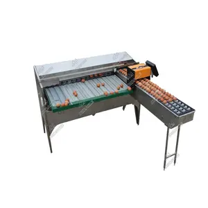 Electric Automatic Egg Grading And Sorting Machine