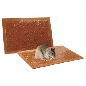 FLORTIS 2 Pezzi Pastiglie Adesive Repellenti per Insetti per Catturare Topi, Scarafaggi, Roditori, Scorpioni, Design con Esca - Product Image 2