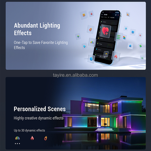 Tayire DC5-24V SP318E RGBIC LED denetleyici örgü ağ grubu kontrol up 200 cihazlar 2A çıkış 24W Max yük App müzik DIY BT - Product Image 6