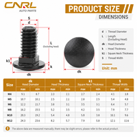 RuiLi Boulon à tête bombée en acier inoxydable 304, col carré, oxyde noir, M4 M5 M6 M8 M10 M12, vente en gros usine