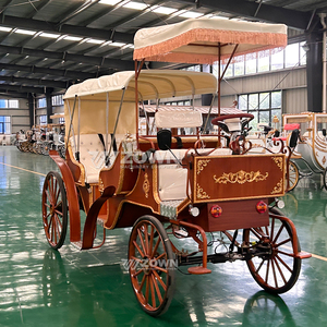 Voiture de tourisme électrique européenne à double auvent, effet bois, pour transport de mariages et excursions panoramiques - Product Image 5
