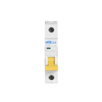 Disjoncteur HiELEK HLM8 2P 6kA en cuivre PA66 10A certifié CE, norme IEC60898-1, rail DIN, 230/400V, IP20, 50/60Hz AC