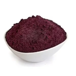 FST Biotec Bester Preis Premium Acai Berry Gefrier getrocknetes Pulver Reines 10:1 Bio Acai Berry Extract Saft pulver