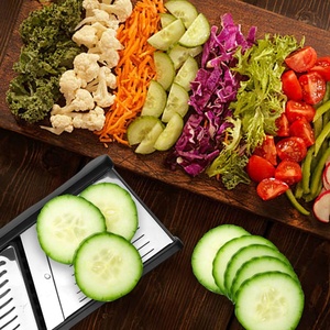 Gloway Kitchen Gadget <strong>Potato</strong> Cutter Handheld Food Chopper Julienne Black Stainless Steel Adjustable Mandoline Vegetable <strong>Slicer</strong>