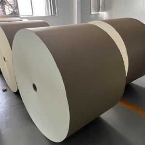 Rouleau de papier enduit de PE pour la fabrication de gobelets écologiques - Product Image 2