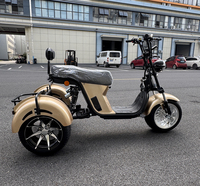 Triciclo Eléctrico de 3 Ruedas de 4000w de Potencia, Directo de Fábrica, para Adultos, con Gran Autonomía de 50-60km, Motocicleta Eléctrica de 3 Ruedas