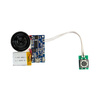 Module sonore enregistreur 8M MP3 avec haut-parleur USB et commande par bouton pour cadeaux DIY Fête des Mères – Vente directe