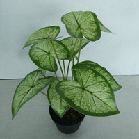 Bonsaï artificiel en soie, feuilles de Syngonium Papillon Vert, Tannia, Arrowleaf, Oreille d'Éléphant, Taro, 40 cm, centre de table pour mariage et Noël