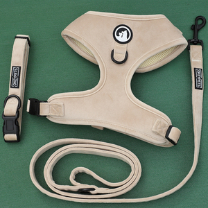 <span class=keywords><strong>Collar</strong></span> de perro de diseñador de alta calidad, hebilla de Metal, liberación rápida, seguridad para caminar al aire libre, <span class=keywords><strong>Collar</strong></span> de perro de terciopelo de malla suave - Product Image 6