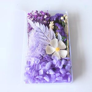 Vente en gros Mini fleurs séchées mélangées Eucalyptus naturel multicolore Matériaux séchés en vrac Petit emballage déco - Product Image 1