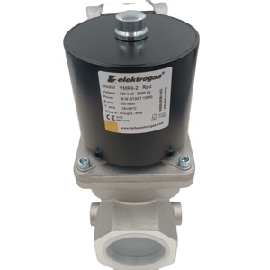 VMR4-2 VMR3-2 VMR6-2 Solénoïde d'allumage combiné pour Elektrogas STOCK (États-Unis) - Product Image 1