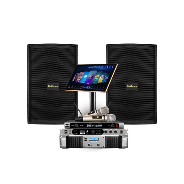 Bekboes Professional Indoor Multi-function Sing Karaoke System Full Set Dj Sounds System Speakers