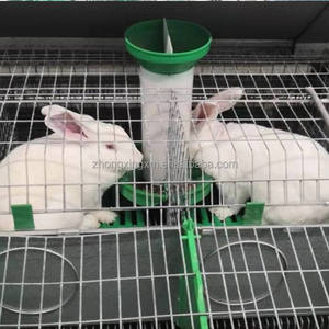 กรงเลี้ยงกระต่ายแบบสองชั้น36ชั้นสำหรับ<span class=keywords><strong>ฟาร์ม</strong></span><span class=keywords><strong>กระต่าย</strong></span><span class=keywords><strong>เนื้อ</strong></span> - Product Image 4