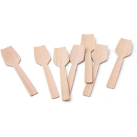 Cuillère jetable pour gâteau et glace, cuillère en bambou moderne, biodégradable et écologique