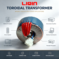 Transformateur de puissance toroïdal monophasé personnalisé 50/60Hz 50W-5000W à noyau en cuivre 240V 9V/5V pour amplificateur audio électronique LQ-920 LIQIN