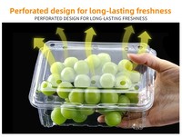 Boîte à fruits en PET transparente, pliable et jetable, pour fraises, raisins, cerises – Vente en gros usine