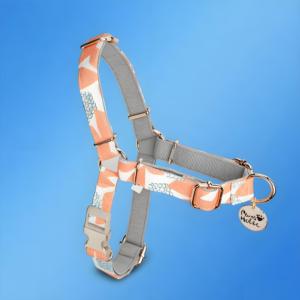 Arnés de Algodón para Perro, Talla L, Elegante, Moderno, Transpirable, Antitirones, Personalizado, Diseño de Accesorios para Mascotas - Product Image 1