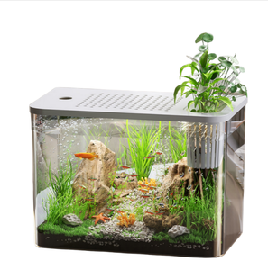 Pecera de escritorio PET ligera, acuario pequeño de 1-3 galones para Betta con <span class=keywords><strong>boca</strong></span> ancha, fácil limpieza y decoración de bajo mantenimiento - Product Image 1