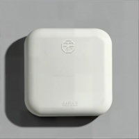 Boîte cadeau jetable biodégradable en bagasse, en forme d'œuf, blanc naturel, non toxique, pour l'emballage de jouets