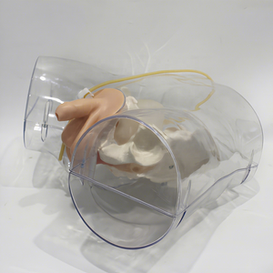 Simulateur d'<span class=keywords><strong>insertion</strong></span> de cathéter urétral transparent avec affichage de gonflage du ballon pour la formation infirmière CE ISO ROHS CNAS - Product Image 2