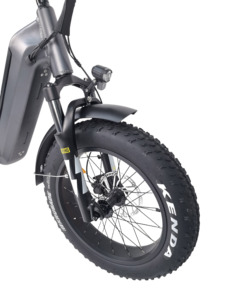 QUEENE/Nouveau design Vélo électrique à suspension intégrale à cadre bas de gamme de haute qualité avec pneus larges de 20 pouces et batterie dissimulée TDR03Z Nouveau - Product Image 2
