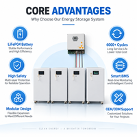 Système d'énergie solaire hybride, panneaux solaires, puissance MPPT 10 kW, batterie au lithium, systèmes d'énergie solaire pour toute la maison
