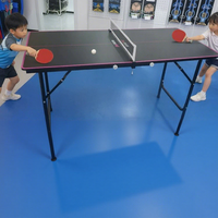 Table de ping-pong miniature Butterfly pour enfants, ensemble de divertissement à domicile, équipement sportif d'entraînement, résistant aux chocs, pliable