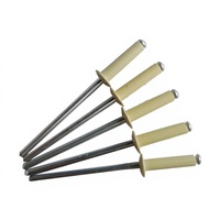 Vente en gros, produit phare : Vis d'ancrage pour béton, rivets aveugles colorés, chevilles murales industrielles, en aluminium et acier inoxydable de haute qualité