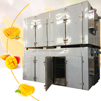 Nieuwe innovaties energiezuinige hetelucht oven droger voor baobab, palm, kaneel, sinaasappel, olijf en ananas
