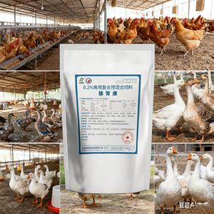 ขายตรงจากโรงงาน ผลิตภัณฑ์เสริมอาหารสัตว์ปีกเพื่อสุขภาพกระเพาะอาหารในไก่และเป็ด - Product Image 4
