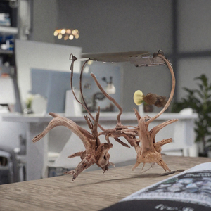 Natuurlijke boomstam drijfhout ecologisch verantwoorde 5W keramische aquariumplant decoratie ornament voor woonkamer tassen - Product Image 4
