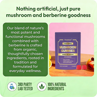 Gummies Super Extraits de Champignons Tout-en-un Rosebest Formule Personnalisée Saveur 2500mg Crinière de Lion, Reishi & Queue de Dinde avec Berbérine