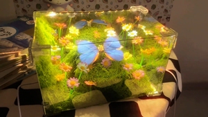 Caja de Regalo Divertida <span class=keywords><strong>para</strong></span> Cumpleaños de Novia, Creativa, con Mariposas de Primavera, Hecha a Mano, Luz Nocturna Pequeña de Madera, Color Personalizado, Moderna - Product Image 4