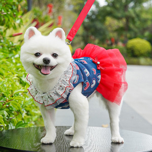Jupe tutu en jean Weiwang à motif cœur, vêtements pour animaux de compagnie (chiens et chats) style princesse, printemps-été - Product Image 3