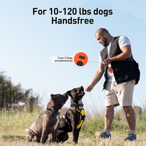 Wasserdichtes wiederauf lad bares Kunststoff-Hunde trainings halsband 2-Hunde-Fernbedienung 4000ft Reichweite Einstellbarer Piepton Vibrations sicher - Product Image 3
