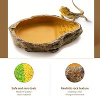 Bol d'eau en résine pour reptiles, réplique de roche naturelle, pour gecko, serpent, grenouille, lézard, tortue, araignée, terrarium