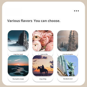 Diffuseur d'arômes Huile essentielle 500ml Soluble dans l'huile Sans eau Parfum longue durée Parfum désodorisant pour hôtel Home Office Spa - Product Image 5