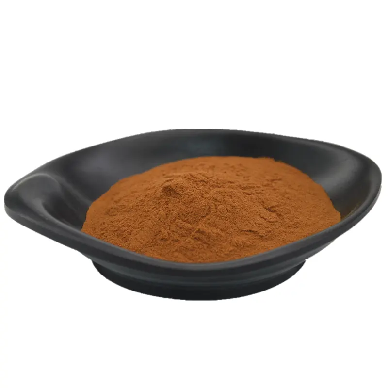 Hot Sale ISO/BRC/Kosher/Halal Certified Reishi Mushroom Extract Powder/Reishi Coffee