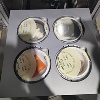 Machine d'emballage électrique de haute précision pour le remplissage de barquettes de produits laitiers, de jambon et de plats occidentaux