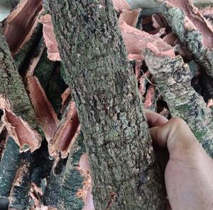 Yang Mei Pi ป่าแห้ง Myrica Cerifera เปลือกชิ้น Bayberry เปลือกสำหรับสมุนไพร - Product Image 3