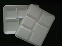 Barquette alimentaire biodégradable en canne à sucre, compatible micro-ondes, écologique, en bagasse, jetable, avec cinq compartiments pour buffet