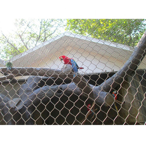 <span class=keywords><strong>นก</strong></span>ขนาดใหญ่ตาข่ายเชือกโลหะตาข่ายลิงตู้สายเคเบิลยืดหยุ่นสุทธิตู้<span class=keywords><strong>นก</strong></span>แมว ss เชือกลวดตาข่าย - Product Image 2