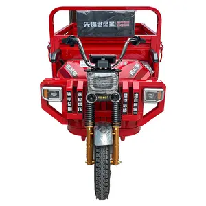Bicicleta eléctrica E-Trikes barata con triciclo eléctrico de cabina 48V 600W
