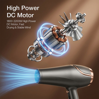 Sèche-cheveux électrique professionnel 2200W à moteur DC ionique, 2 vitesses, avec concentrateur et diffuseur pour salon et usage domestique